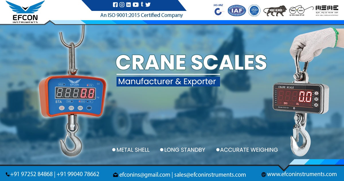 Crane Scales Manufacturer in Maharashtra