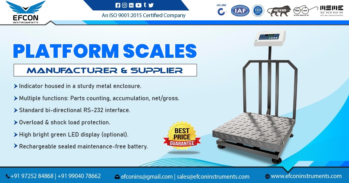 Supplier of Platform Scale in Punjab