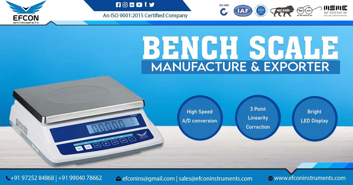 Supplier of Bench Scale in Punjab