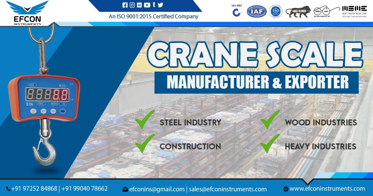 Supplier of Crane Scale in Chhattisgarh