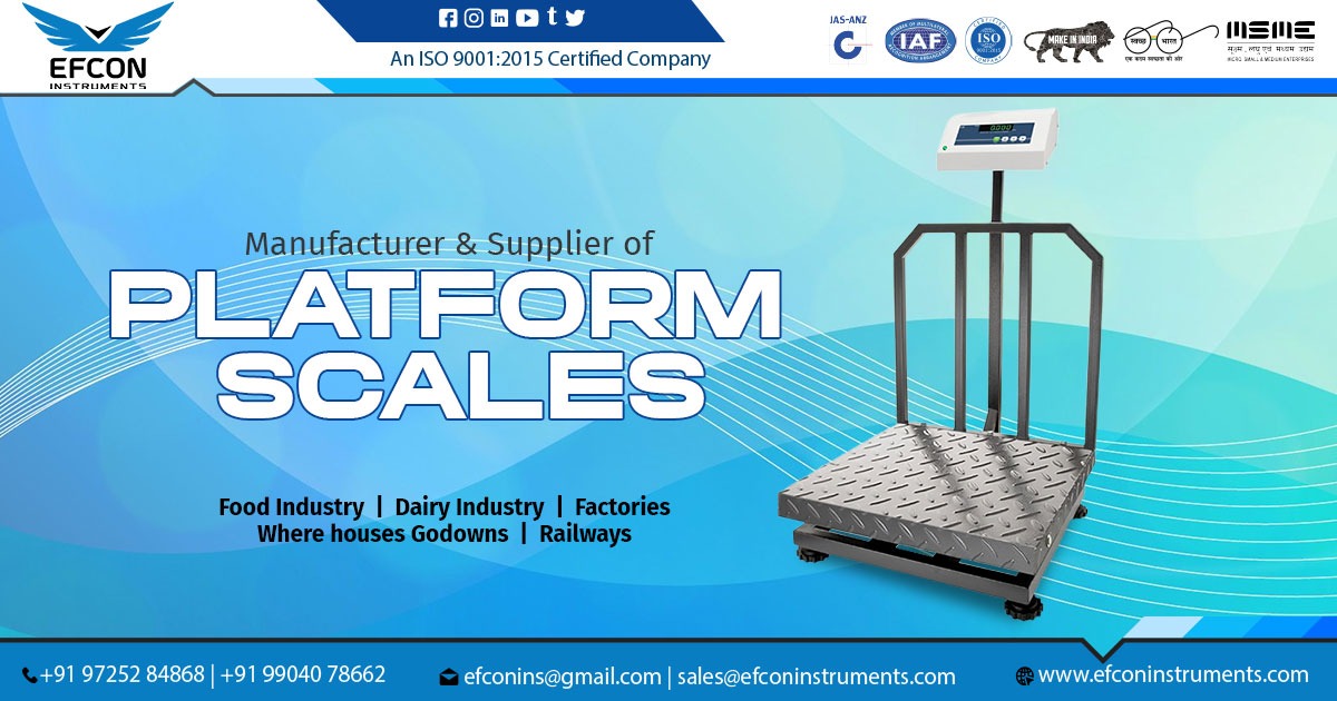 Supplier of Platform Scale in Andhra Pradesh