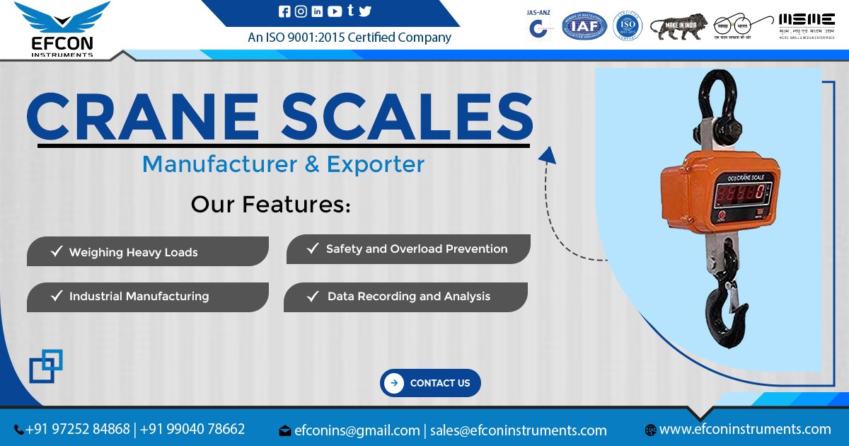 Top Supplier of Crane Scale in Chhattisgarh