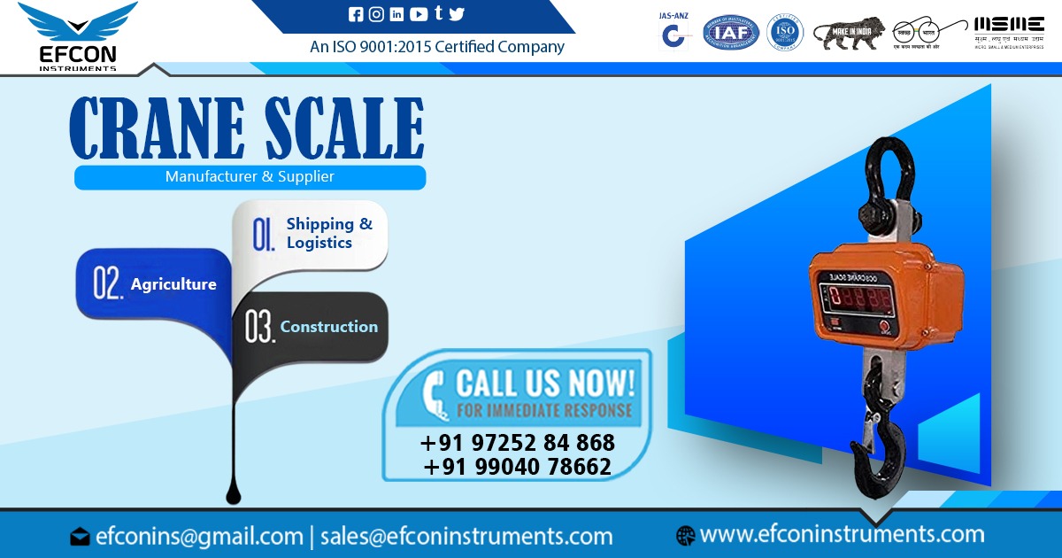 Supplier of Crane Scale in Bihar