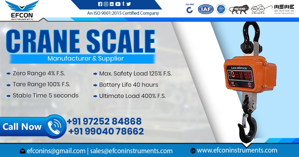 Supplier Of Crane Scale in Odisha