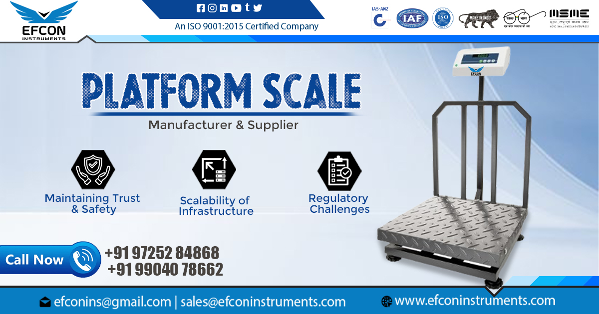 Supplier of Platform Scale in Kerala