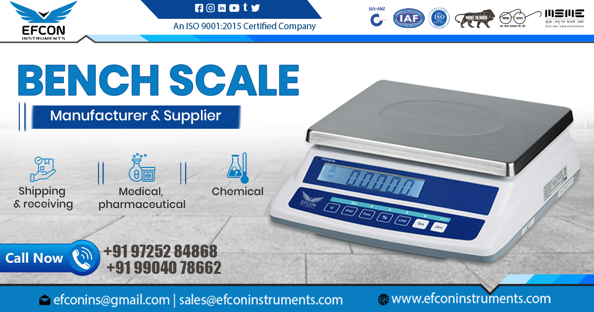 Supplier of Bench Scales in Maharashtra