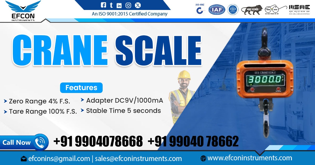 Crane Scale Supplier in Telangana