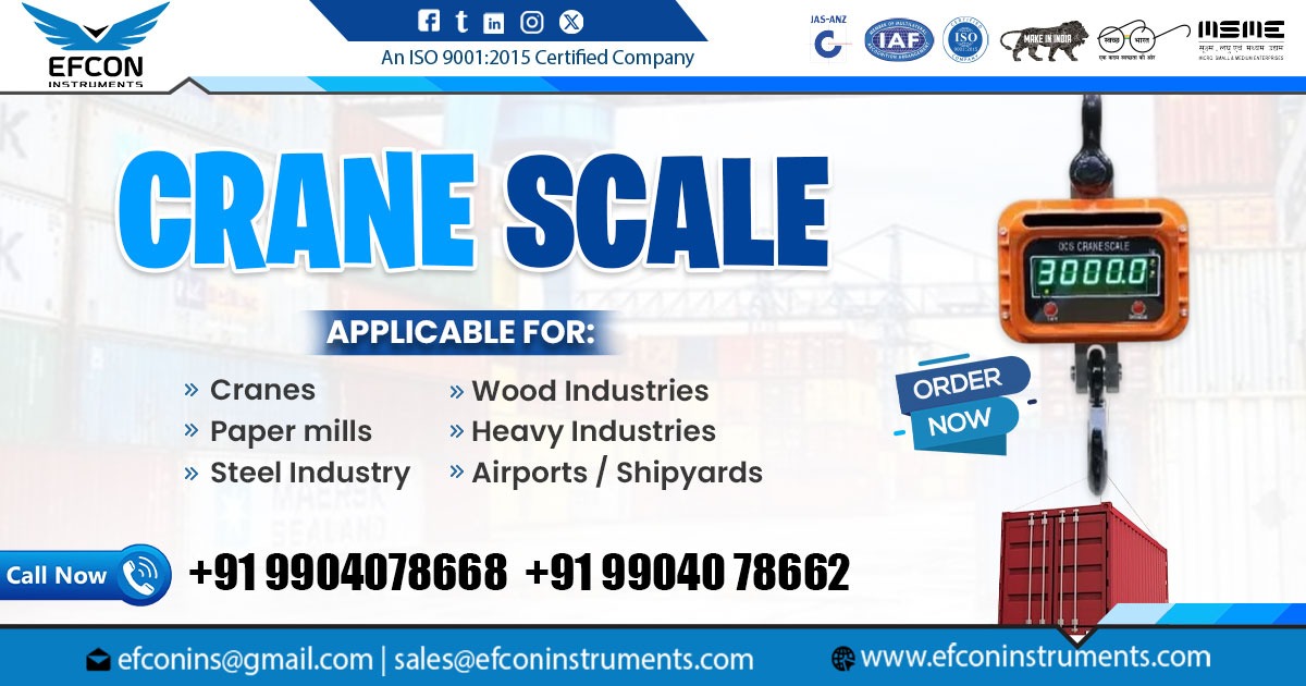 Crane Scale Supplier in Gujarat