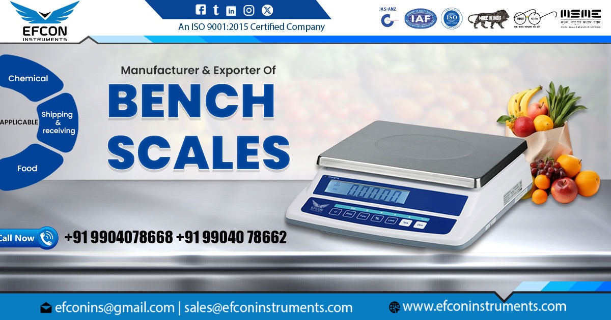 Supplier of Bench Scales in Mumbai