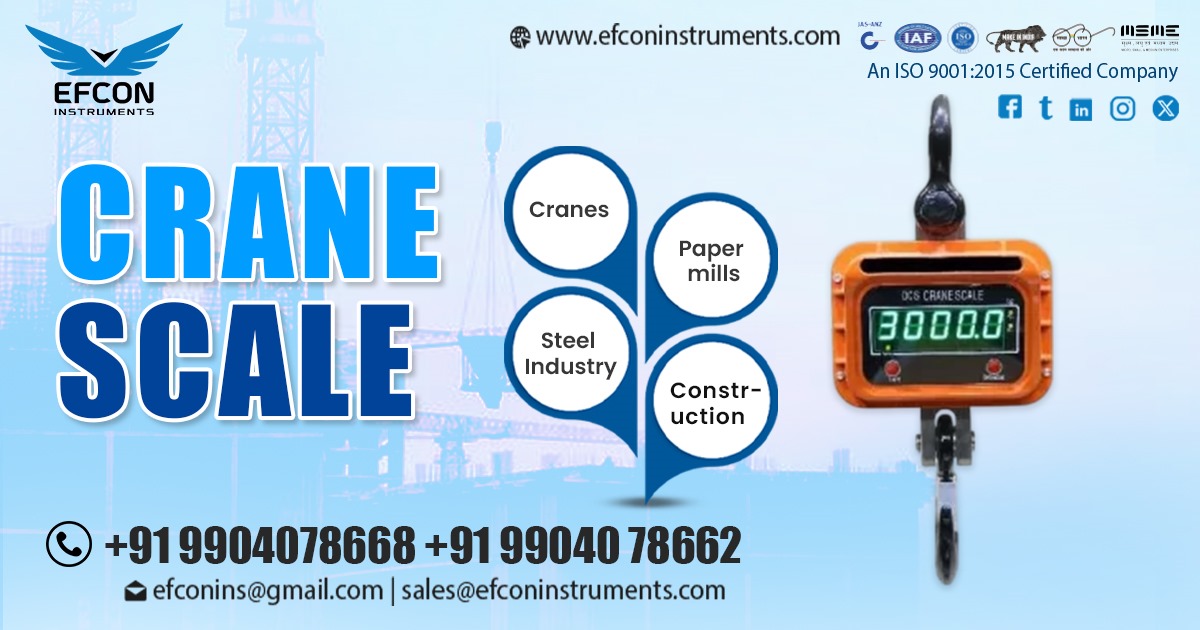 Crane Scale in Ahmedabad